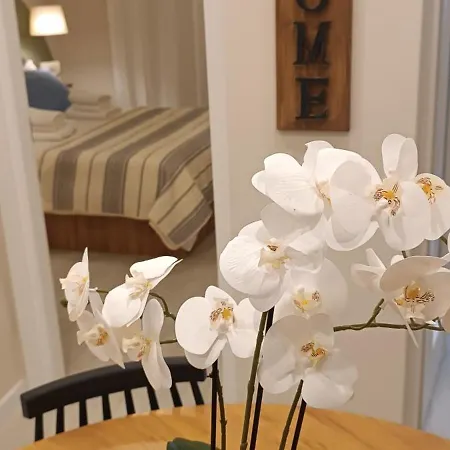 Apartment The Roots Of Parthenon *